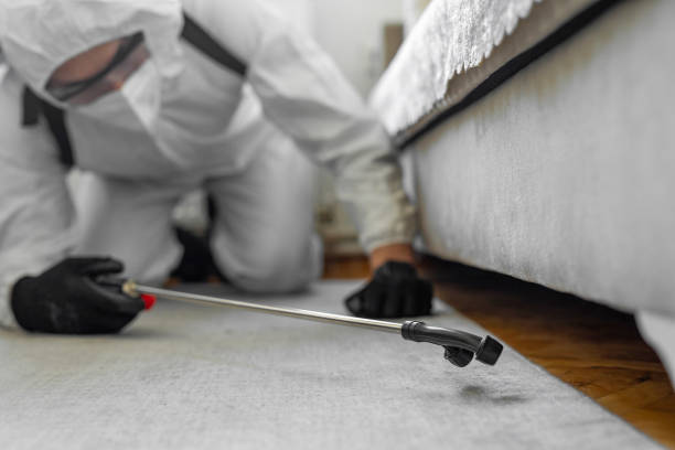 Professional Bed Bug Control technician working in Benson County County, ND